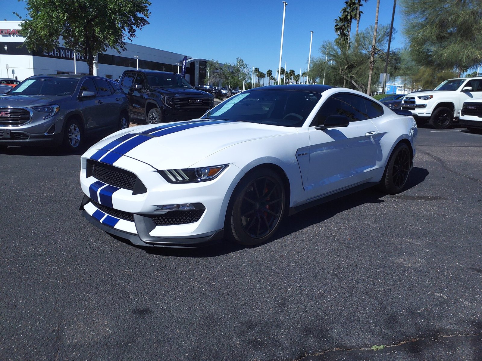 Mustang Shelby GT350